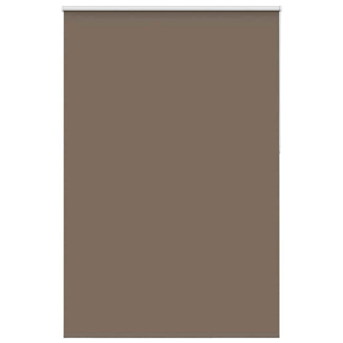 VIDAXL Store enrouleur occultant cafe 145x210cm largeur du tissu