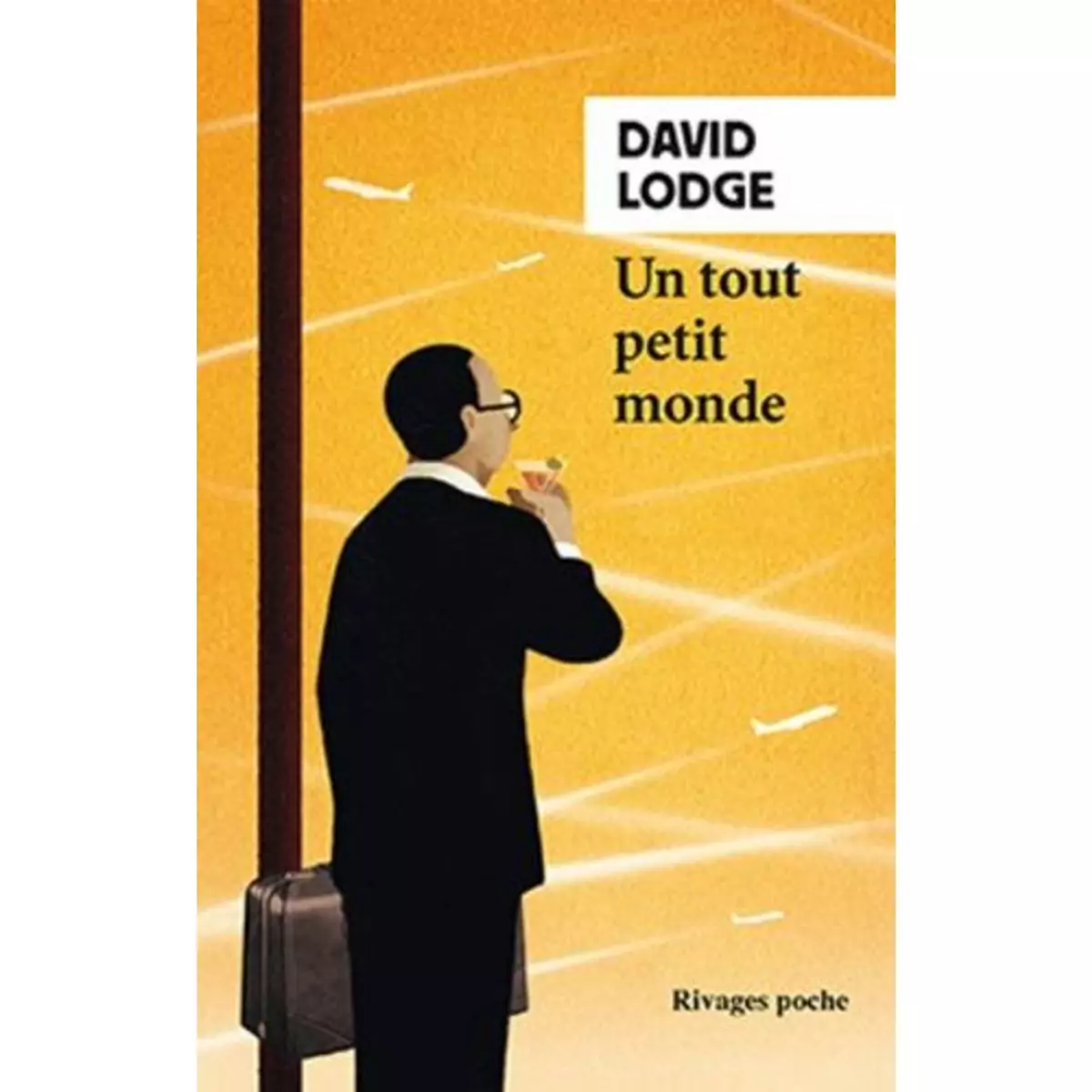  UN TOUT PETIT MONDE, Lodge David