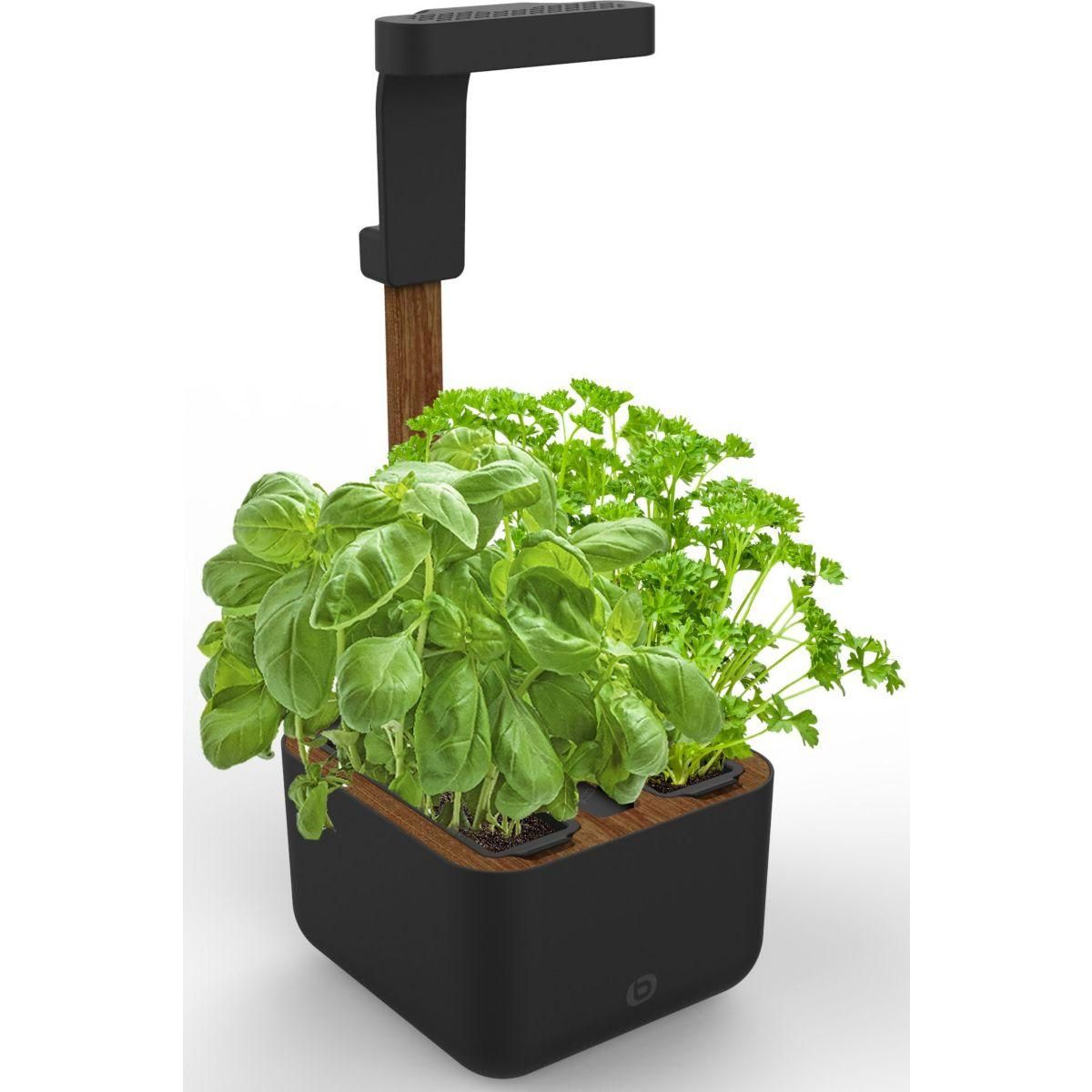 ESSENTIEL B Jardin d'intérieur Adam