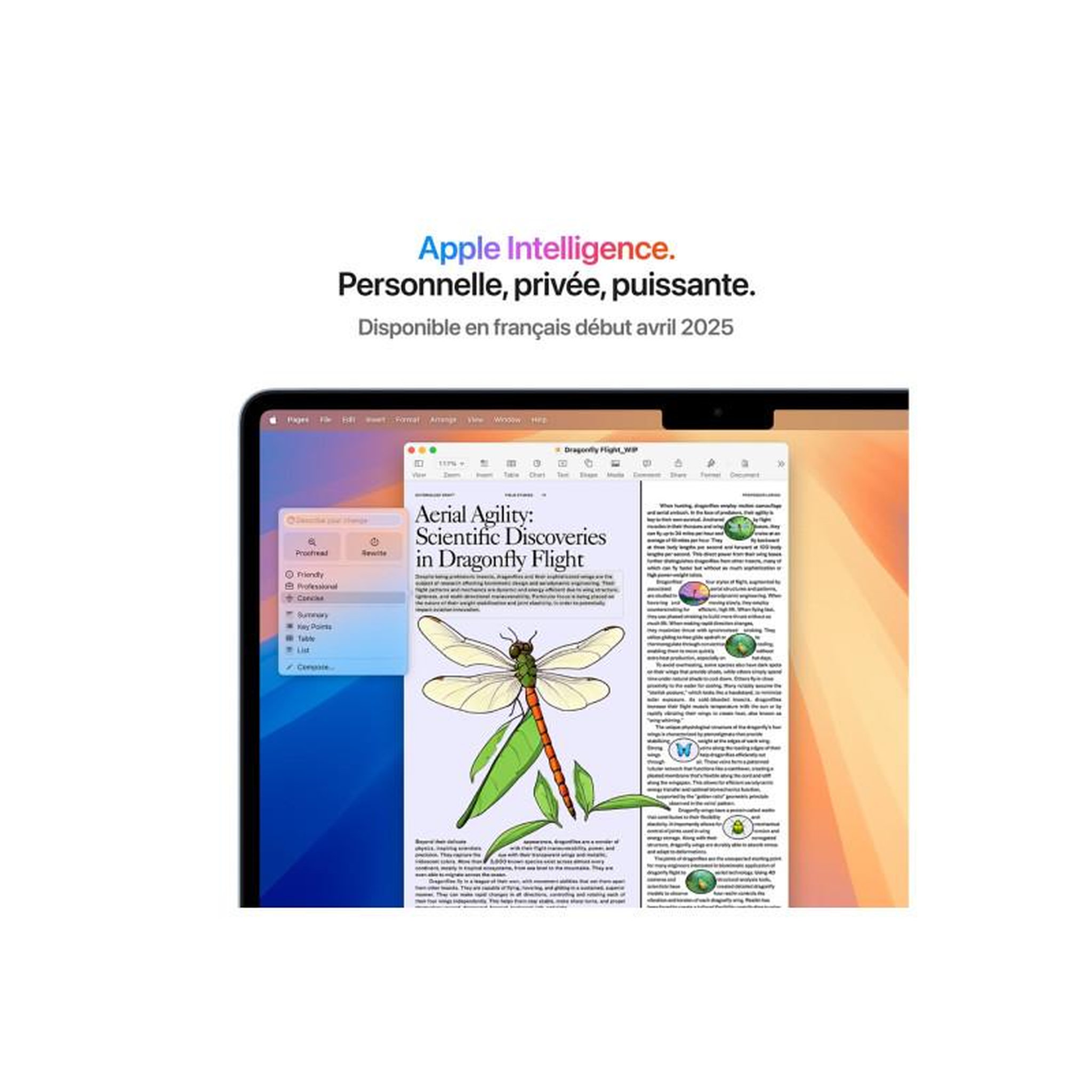 Voir la diapositive 6 : APPLE Ordinateur Apple Air 13,6  Puce M4 CPU 10 / GPU 10 coeurs Mémoire RAM 16Go Stockage 512Go SSD Retina Bleu
