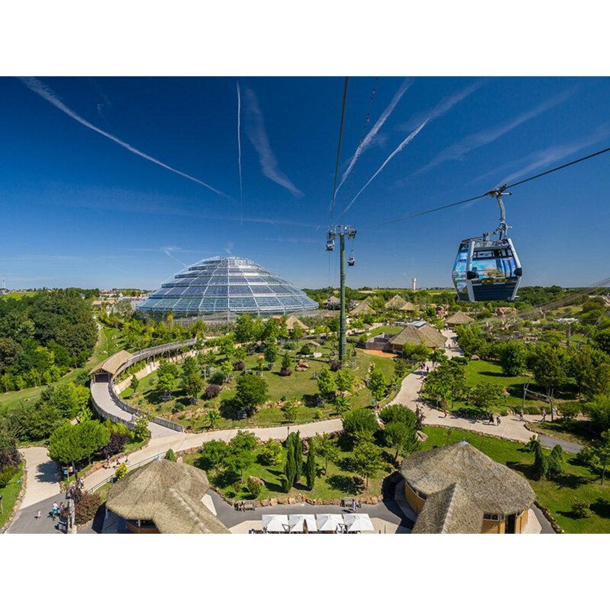 Smartbox Une journée en famille au ZooParc de Beauval en 2025 pour 2 adultes et 1 enfant - Coffret Cadeau Multi-thèmes