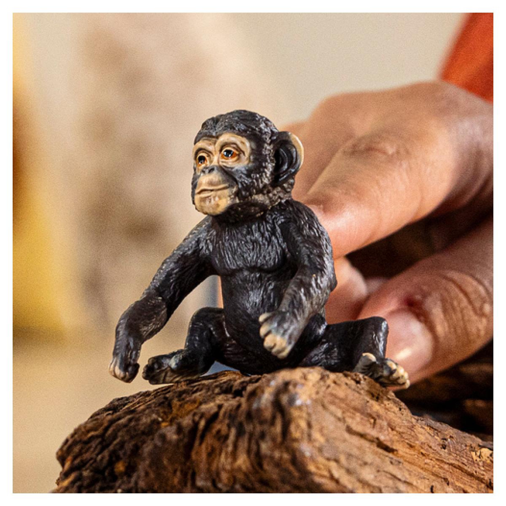 Voir la diapositive 2 : Schleich 14884 figurine Jeune Chimpanzé