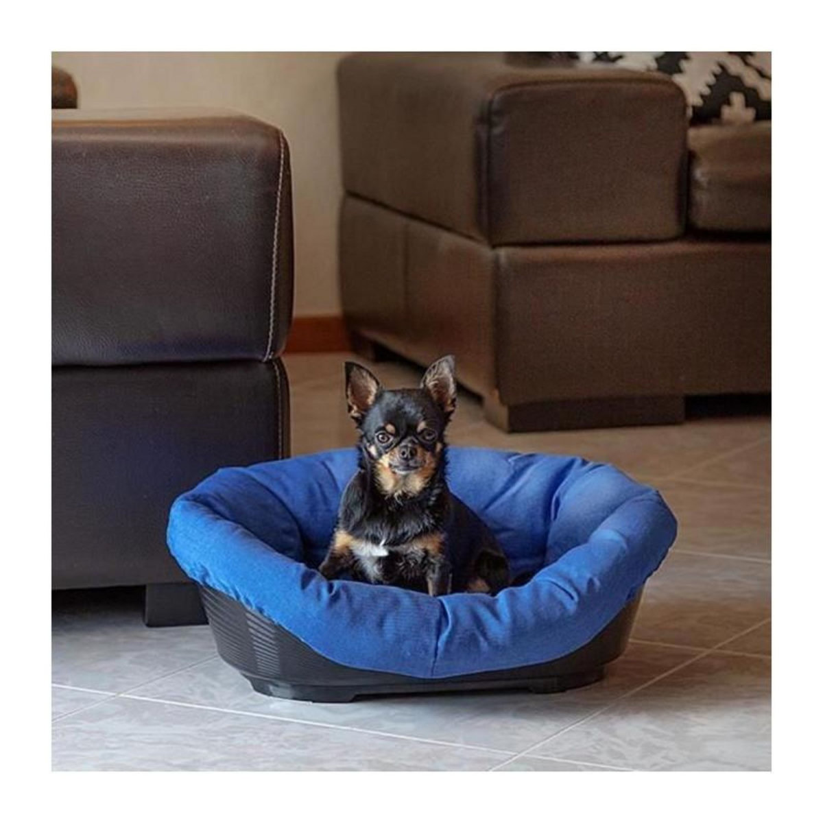 Ferplast Corbeille - FERPLAST - SOFA 2 - Avec coussin a motif 1