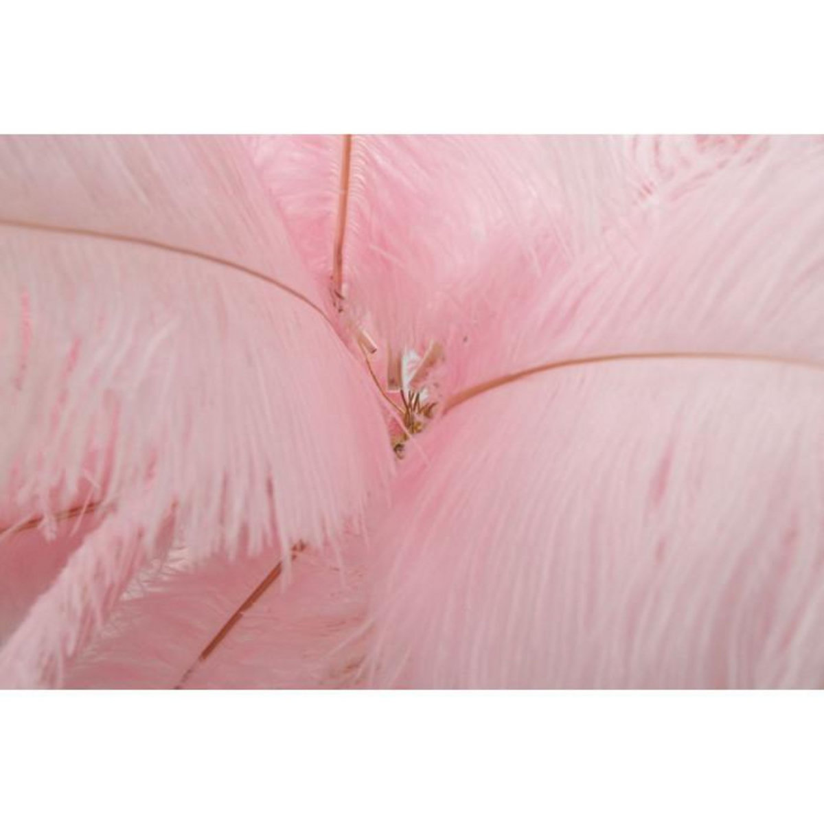 Paris Prix Lampadaire Imitation Plume  Palm  160cm Or & Rose