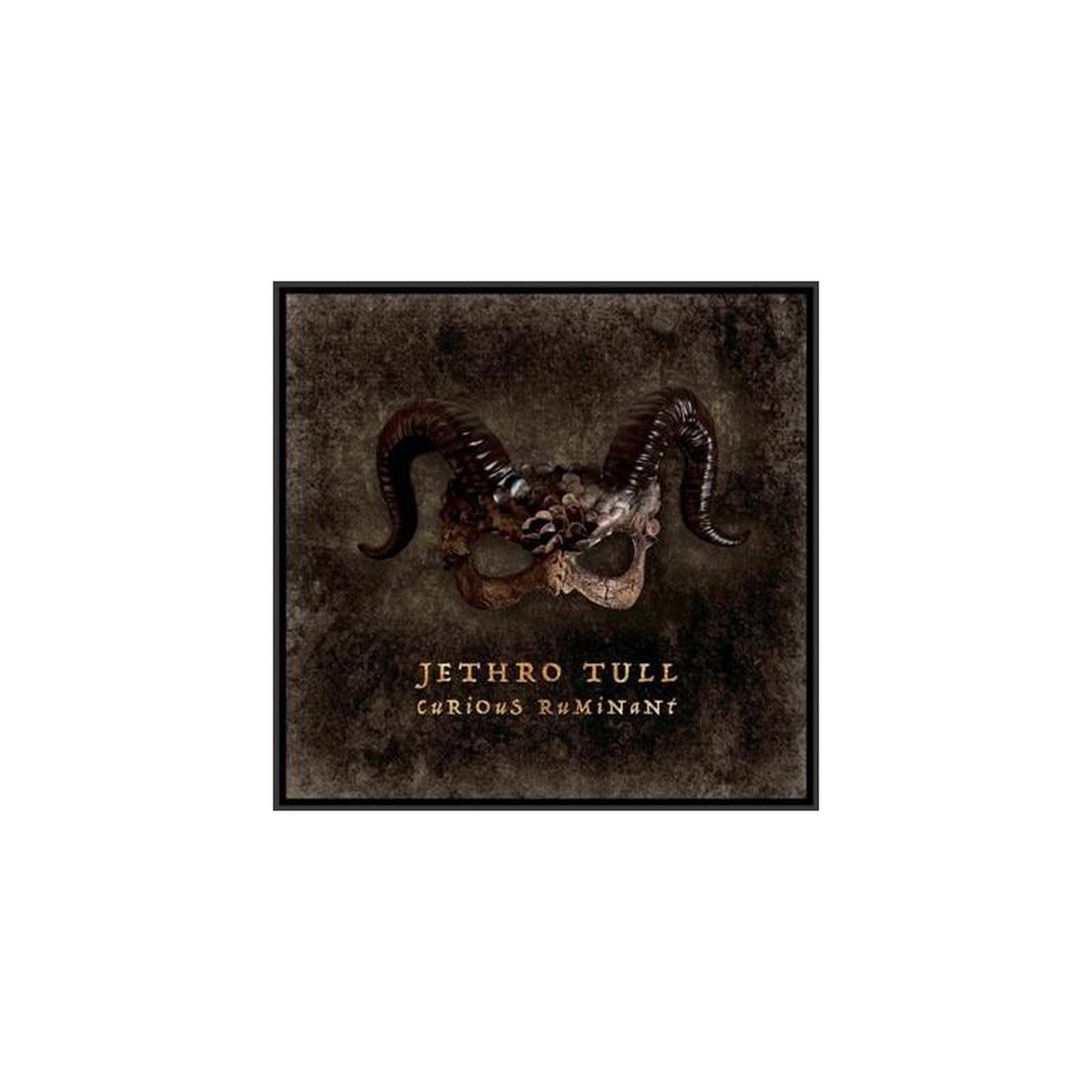 COLUMBIA Coffret & blu-ray jethro tull curious ruminant édition limitée columbia : 2lp 180 g ultra clear