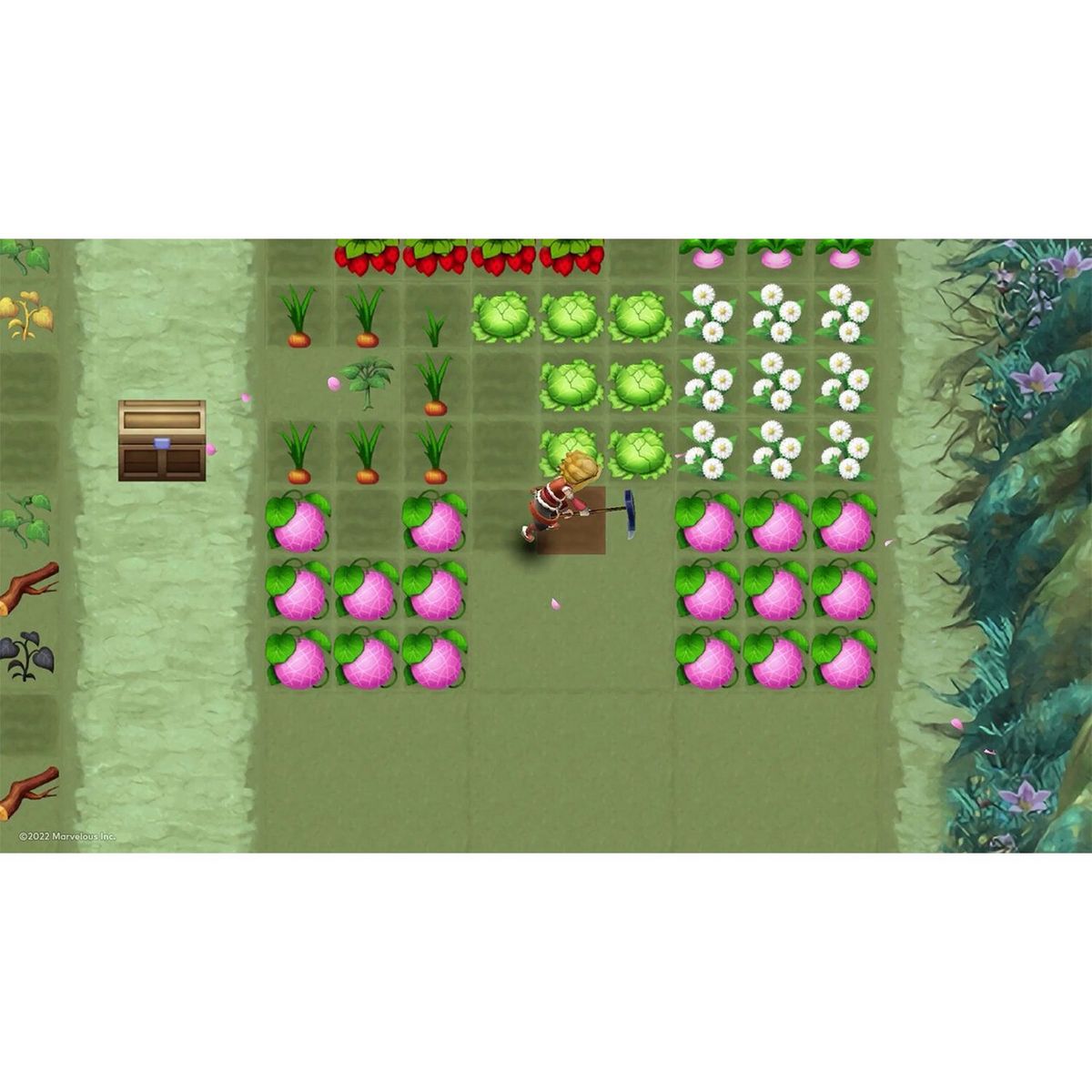 Rune Factory 3 Special Nintendo Switch