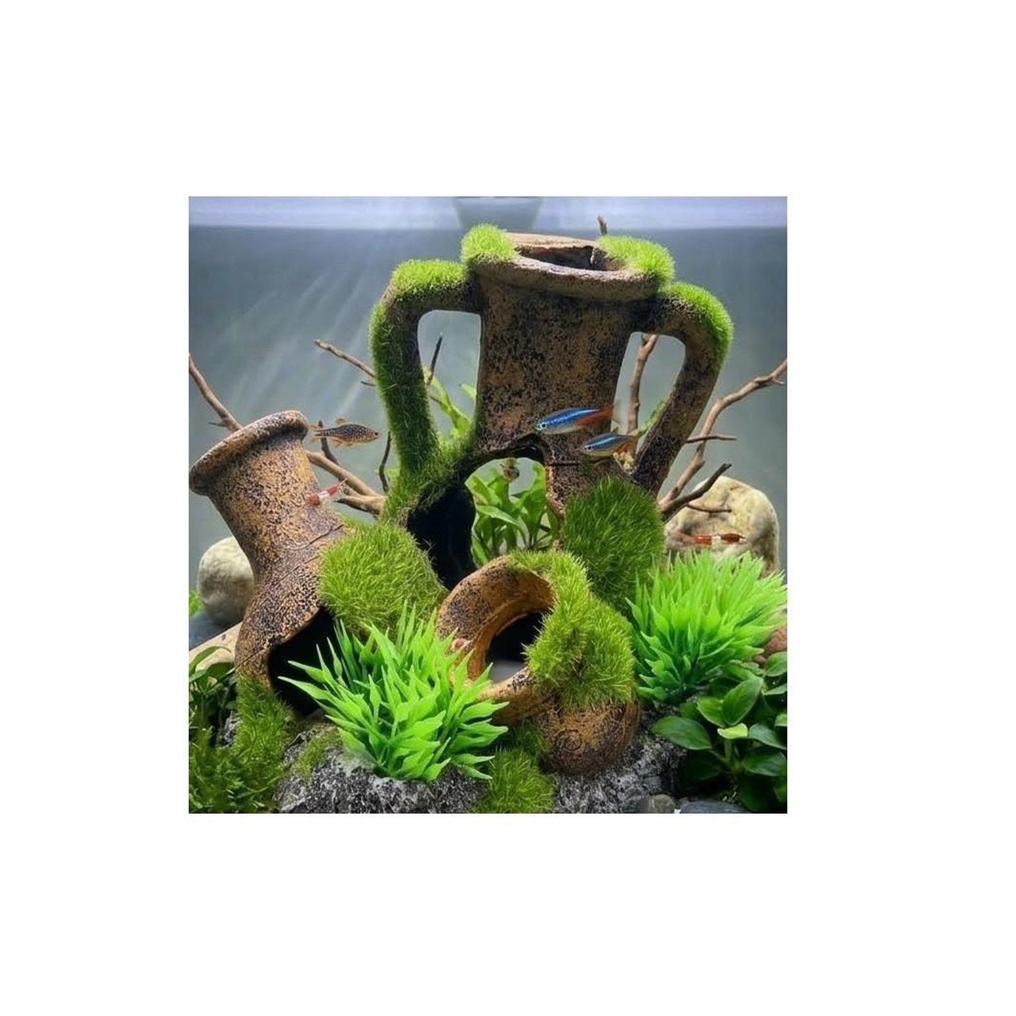 Voir la diapositive 2 : Eden Décoration aquarium amphores empilées cachettes effet mousse