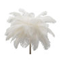 Voir la diapositive 2 : Paris Prix Lampadaire Imitation Plume  Palm  160cm Or & Blanc