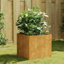 Voir la diapositive 1 : VIDAXL Jardiniere 40x41x40 cm acier corten