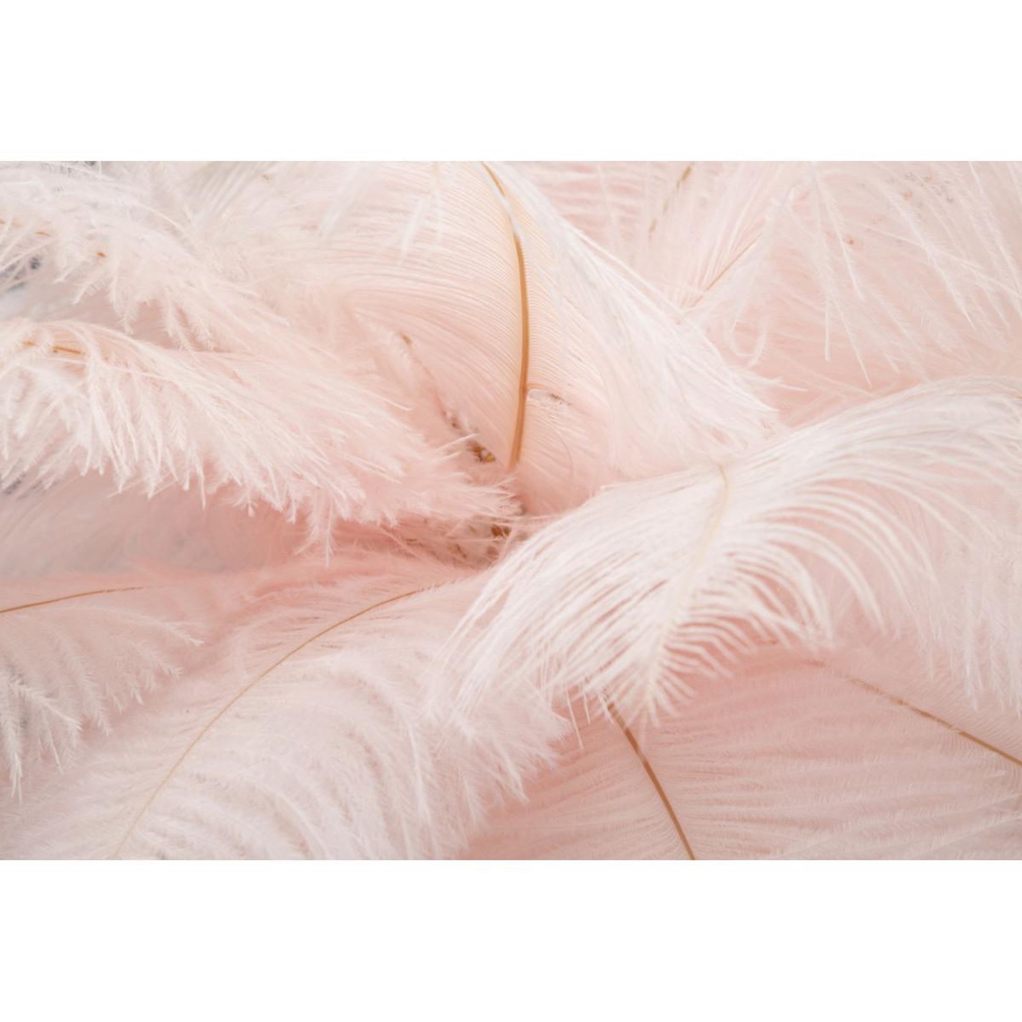 Voir la diapositive 3 : Paris Prix Lampe à poser imitation plume  palm  60cm or & rose