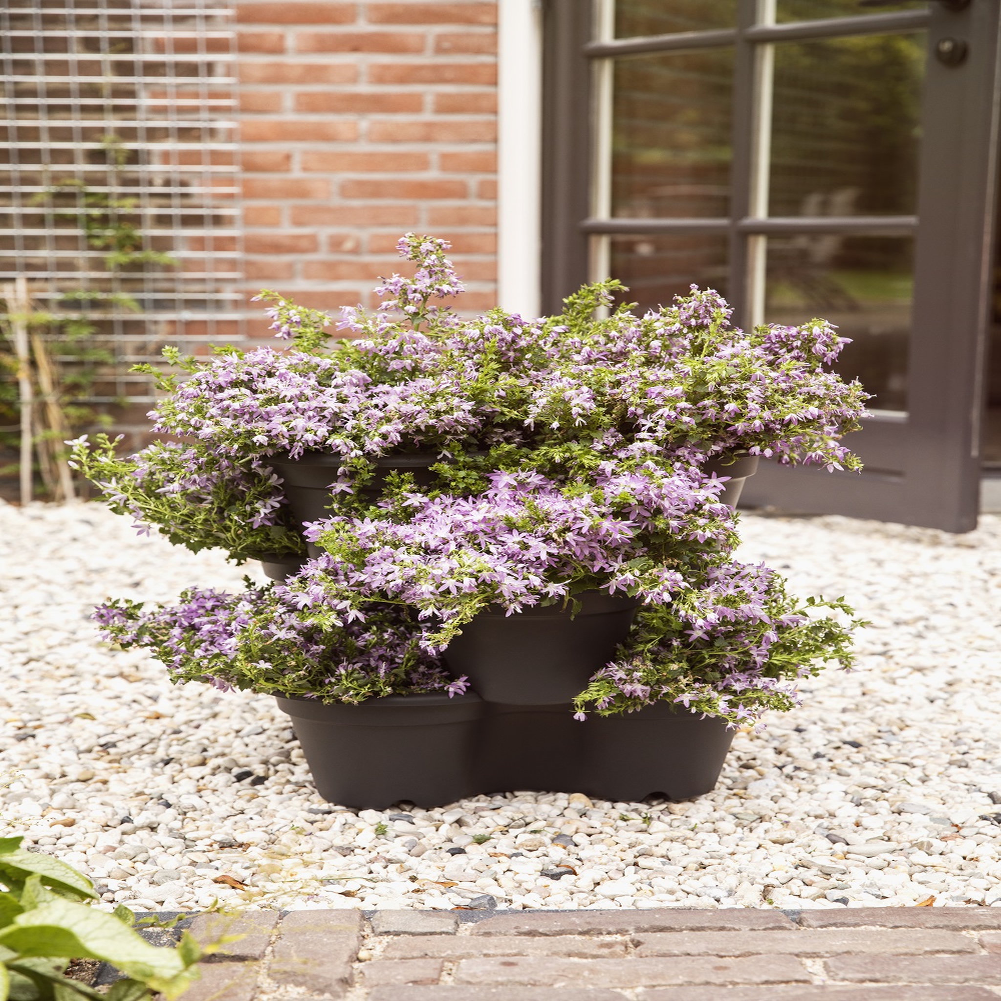 Voir la diapositive 3 : GARDENSTAR Pot empilable pour semis
