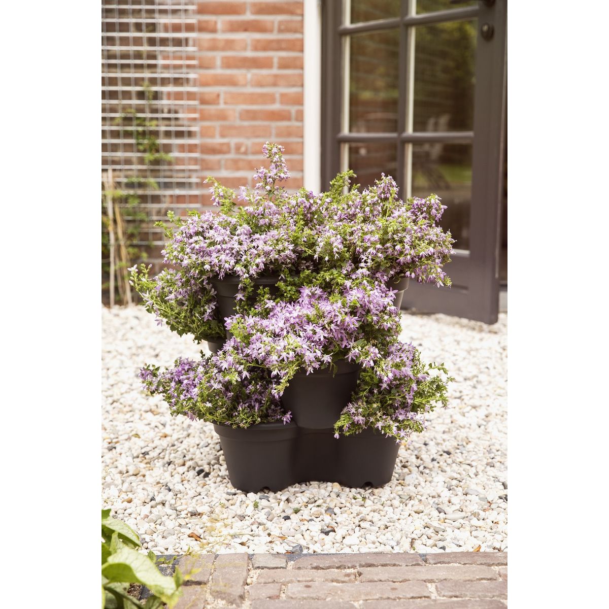 GARDENSTAR Pot empilable pour semis