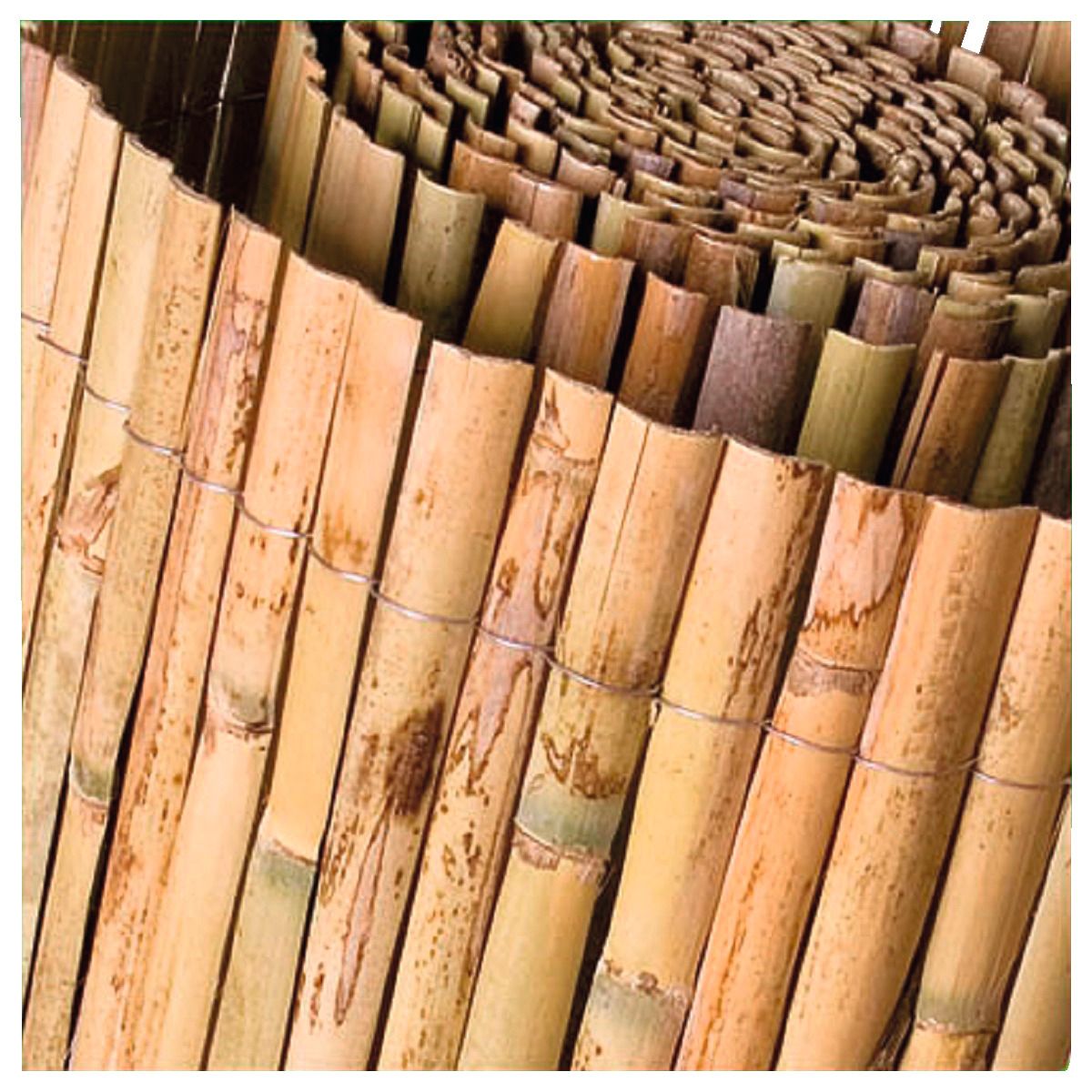 Catral Canisse en roseau fendu 1x5 m