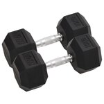 VIDAXL Halteres 2 pcs 20 kg Fonte