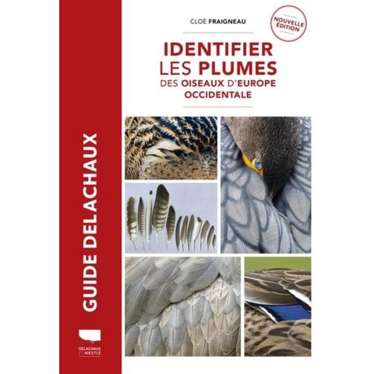 IDENTIFIER LES PLUMES DES OISEAUX D'EUROPE OCCIDENTALE, Fraigneau Cloé
