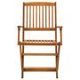 Voir la diapositive 3 : VIDAXL Chaises pliables d'exterieur lot de 2 Bois d'acacia solide