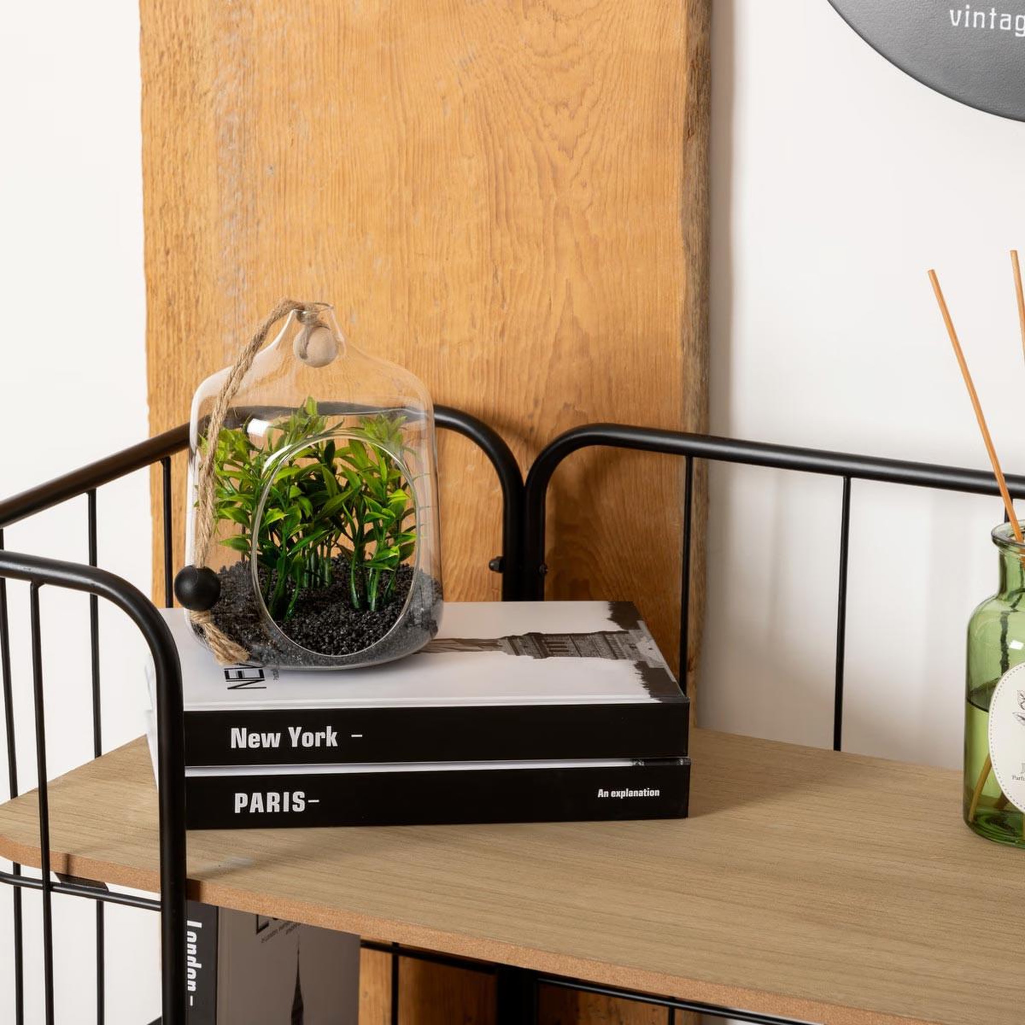 Voir la diapositive 5 : ATMOSPHERA Terrarium à suspendre  naly  15cm vert