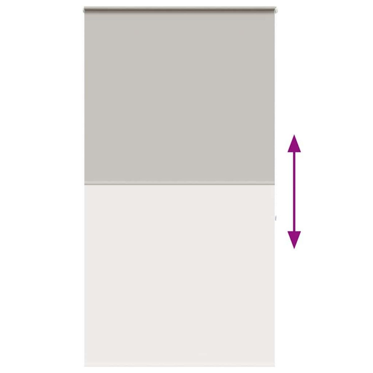 VIDAXL Store enrouleur de douche avec cassette largeur du tissu 116 cm