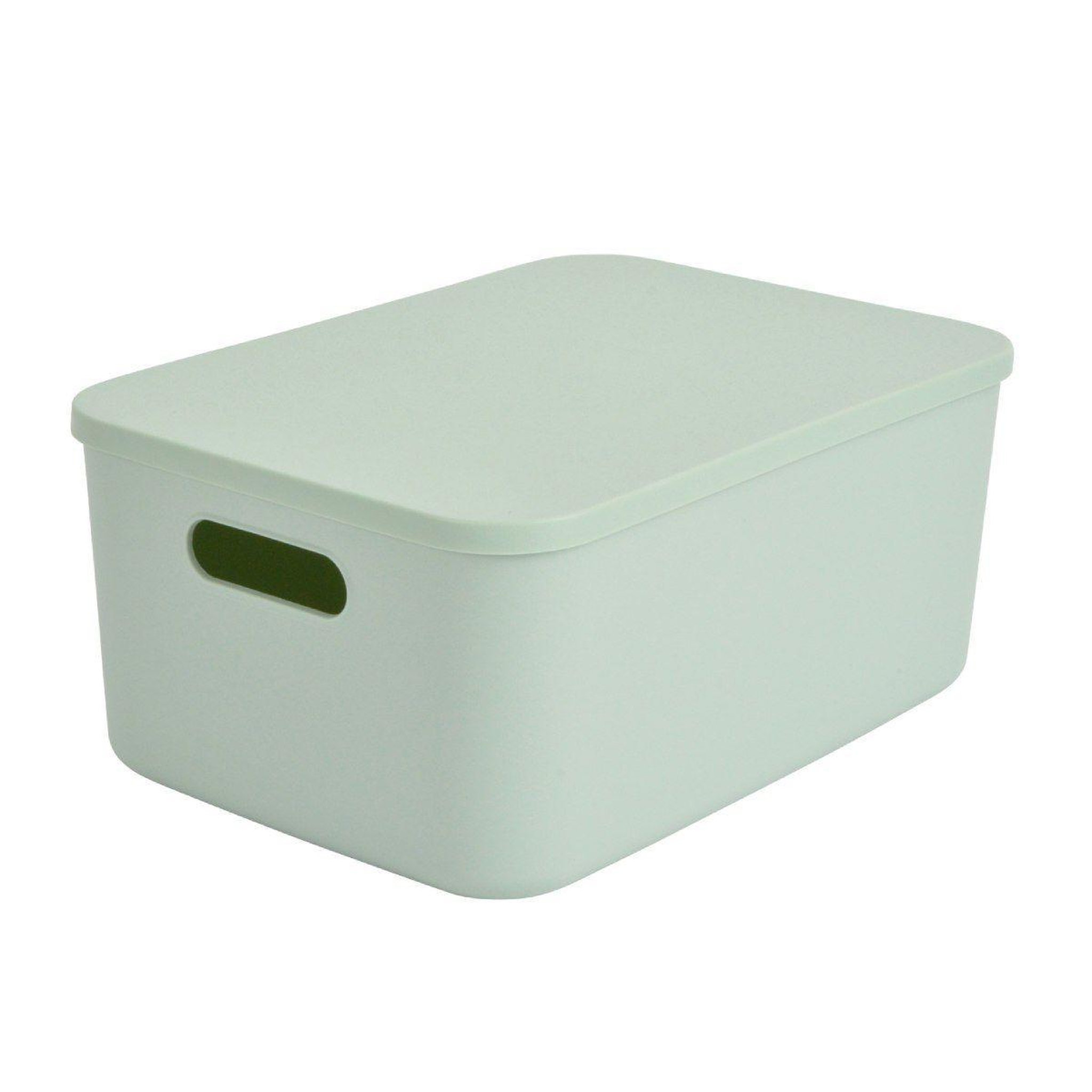 Voir la diapositive 1 : HOMEA Boîte de Rangement Avec Couvercle  Iris  10,5L Sauge
