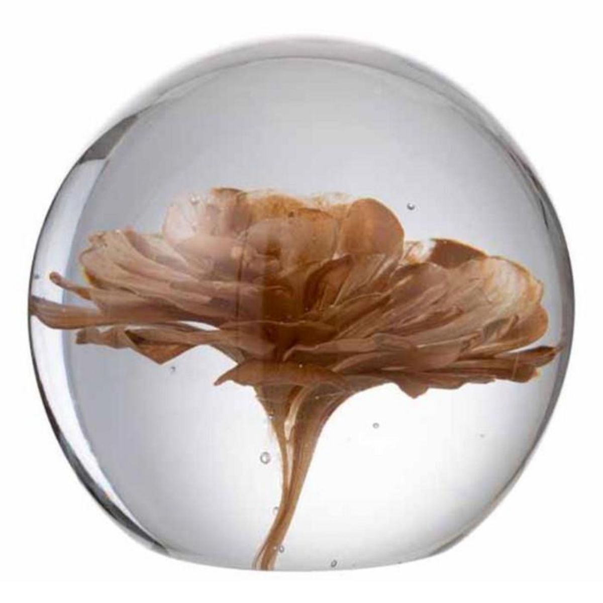 Paris Prix Presse-Papier en Verre  Fleur  12cm Marron