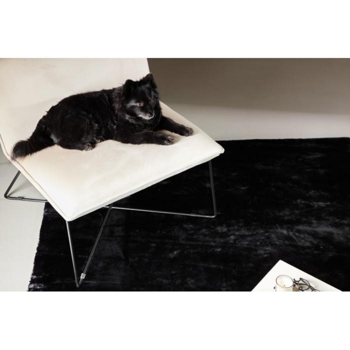 Paris Prix Tapis Design  Nina  200x300cm Noir