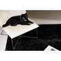Voir la diapositive 4 : Paris Prix Tapis Design  Nina  200x300cm Noir