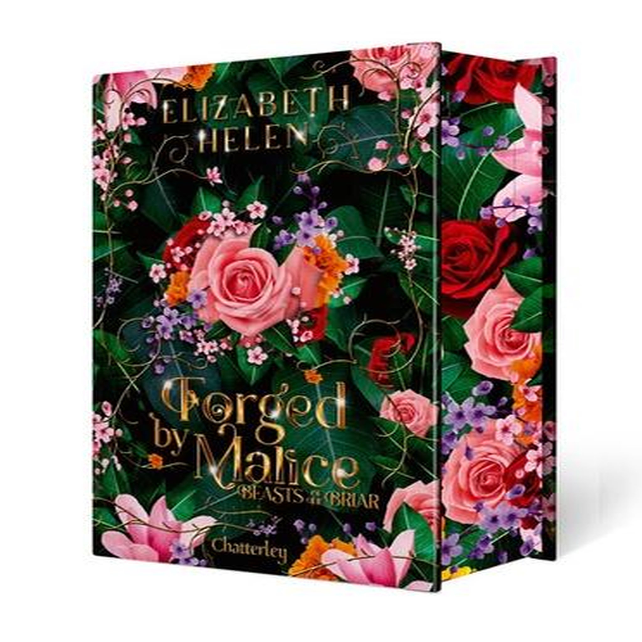BEASTS OF THE BRIAR TOME 3 : FORGED BY MALICE. EDITION COLLECTOR, Helen Elizabeth