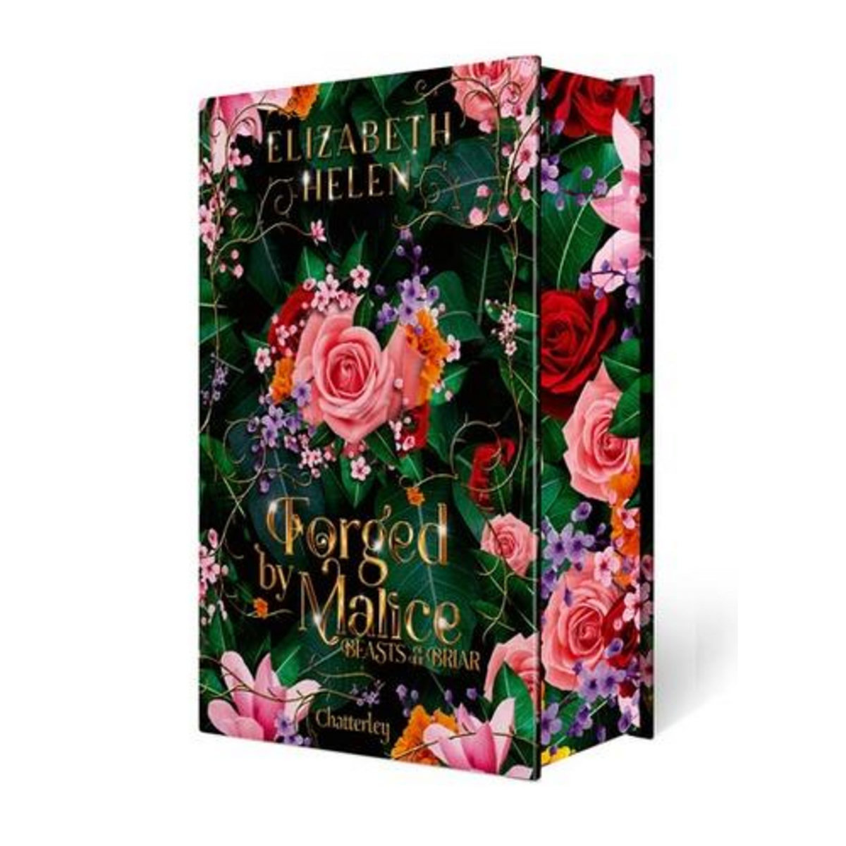 BEASTS OF THE BRIAR TOME 3 : FORGED BY MALICE. EDITION COLLECTOR, Helen Elizabeth