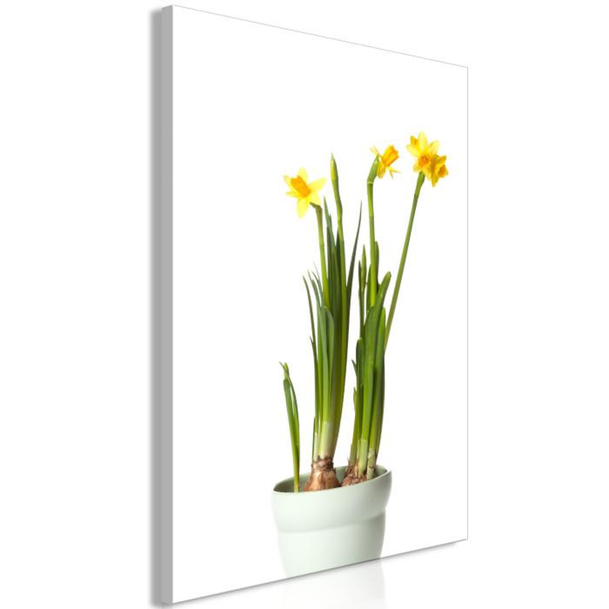 Paris Prix Tableau Imprimé  Narcissus. Coloris disponibles : Multicolore
