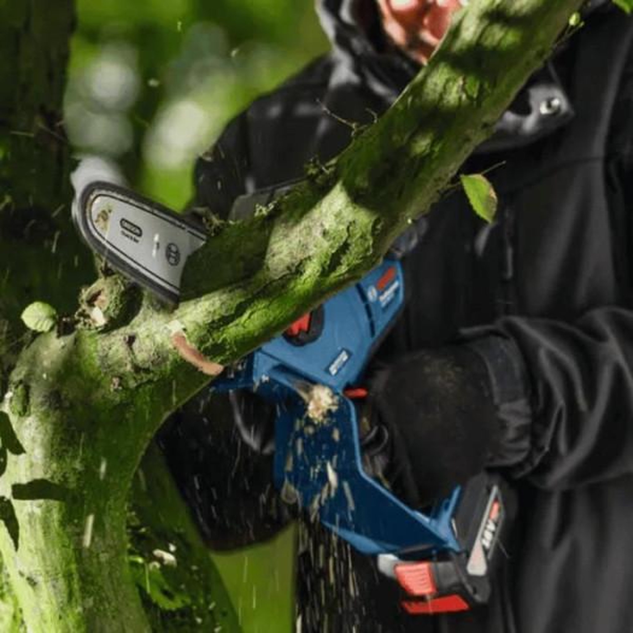 Voir la diapositive 6 : BOSCH Bosch gke 18v-20 professional élagueur sans fil