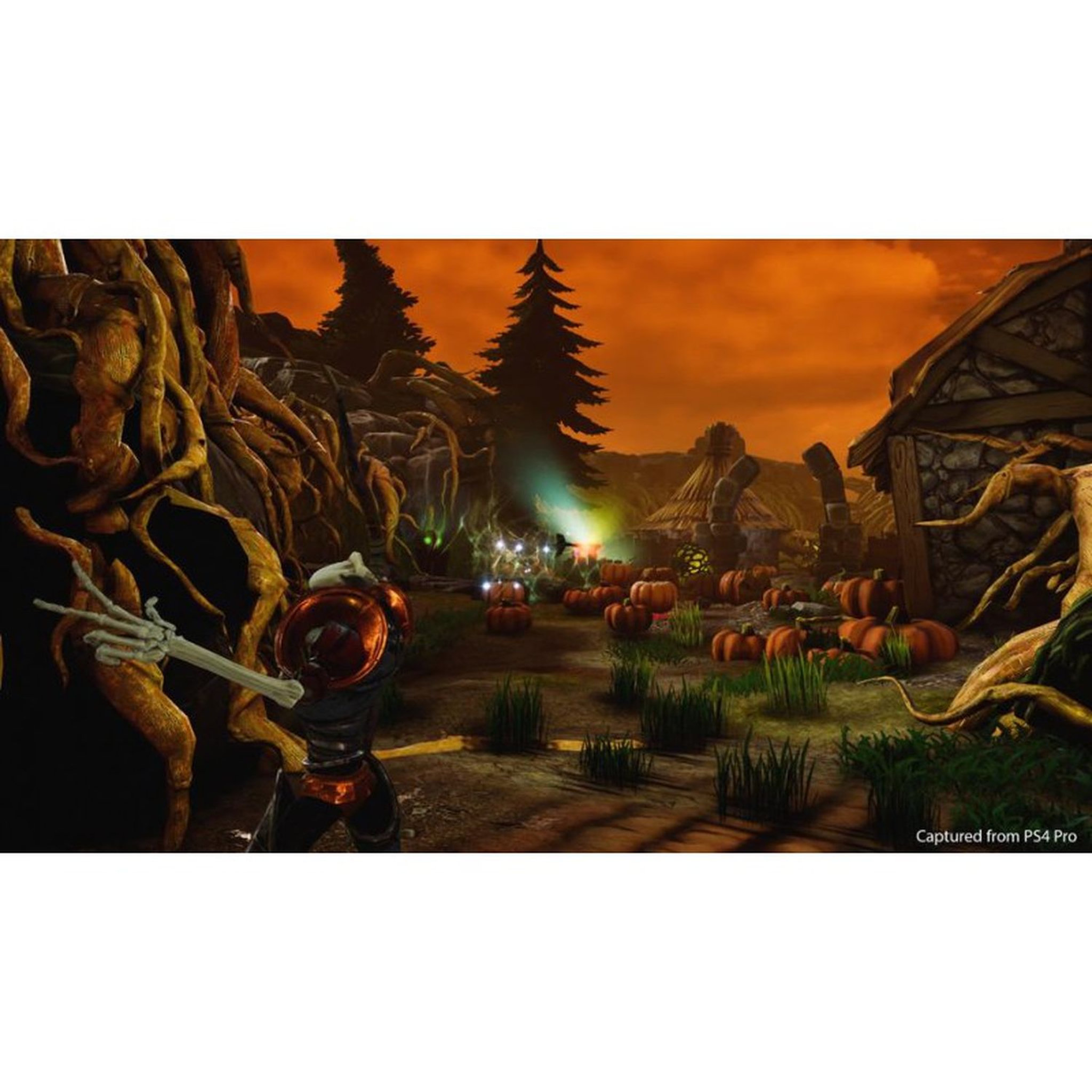 Voir la diapositive 4 : SONY MediEvil PS4