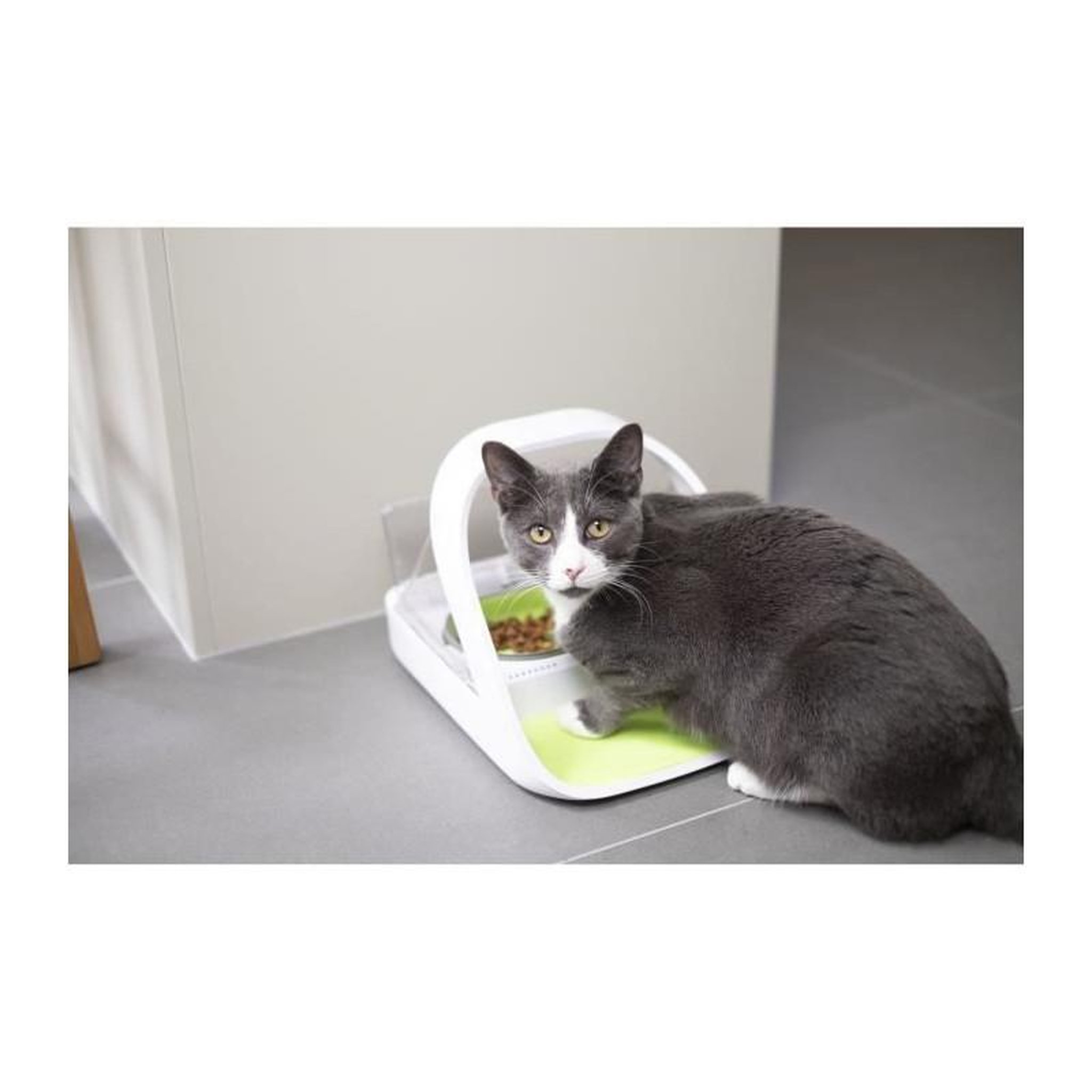 Voir la diapositive 3 : GENERIQUE Distributeur daliment Connect - Blanc - Pour chat
