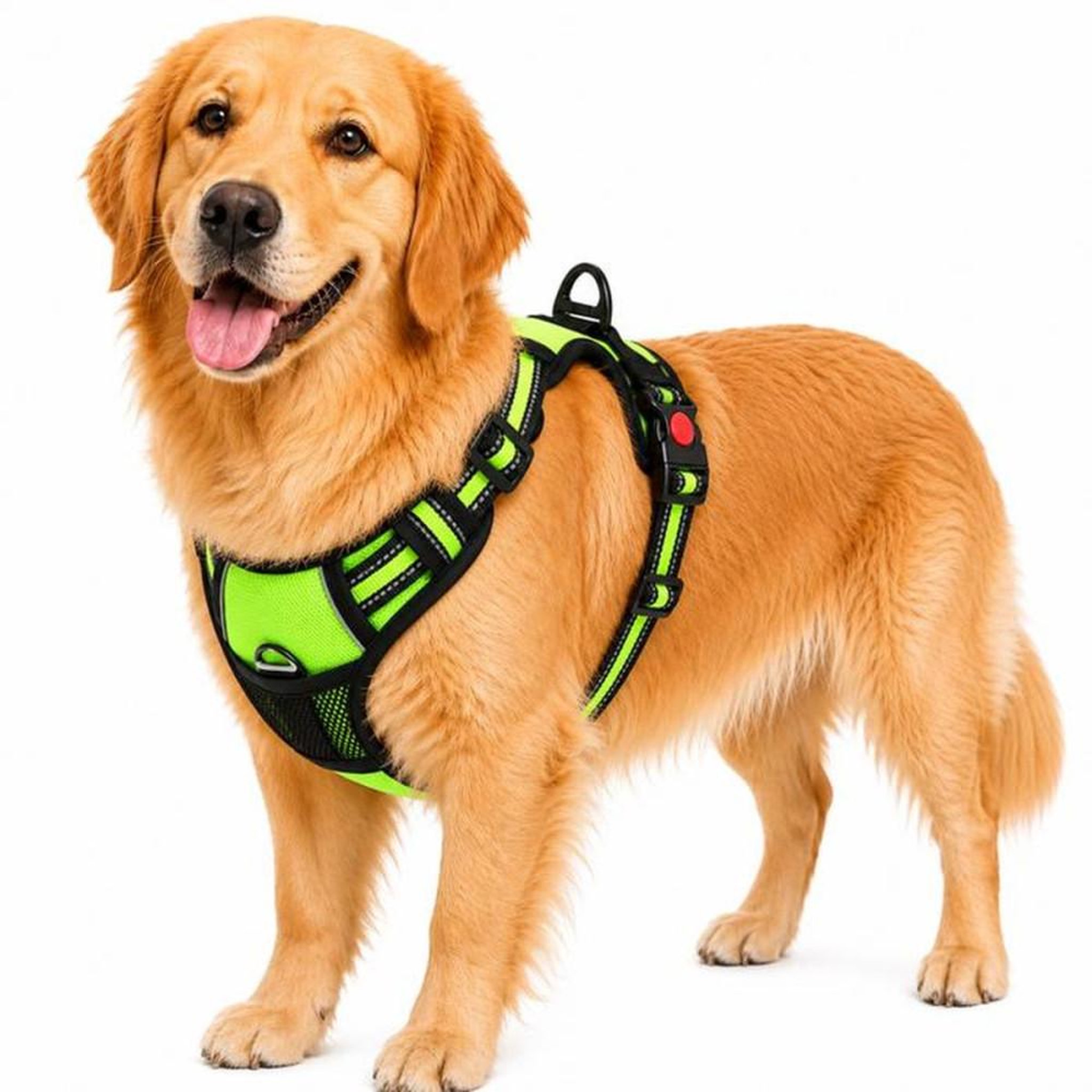 Harnais pour chien style gilet anti-traction XL vert à bandes réfléchissantes, sangle nylon et rembourrage doux, ajustable avec boucle anti-évasion