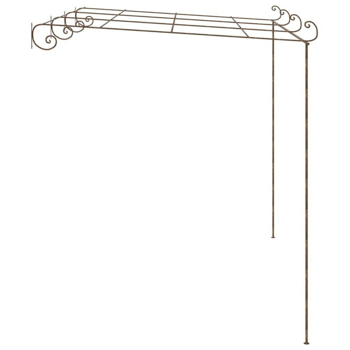 VIDAXL Pergola de jardin Marron antique 4x3x2,5 m Fer