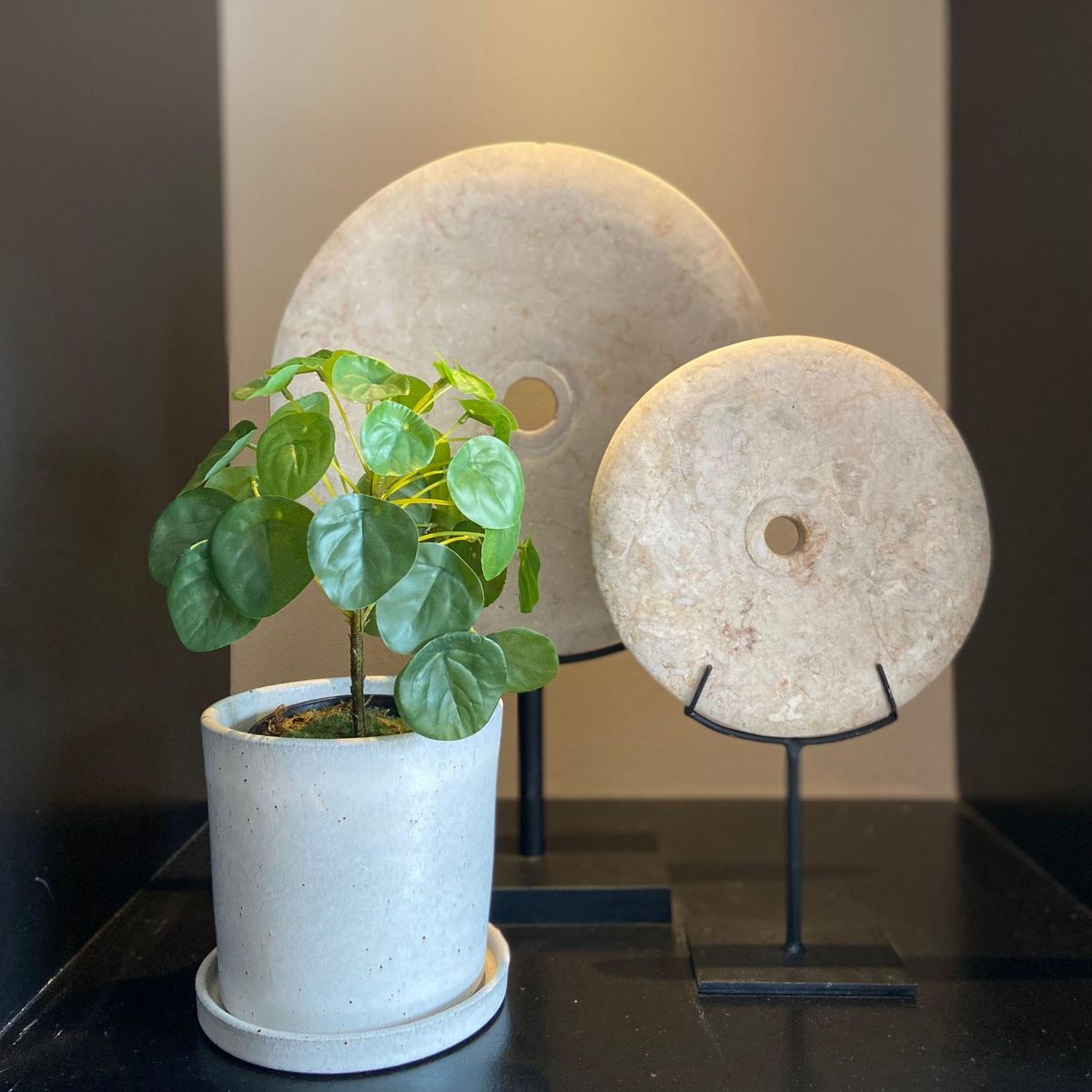 PLANT IN A BOX Pilea Peperomioides artificiel - Hauteur 30cm