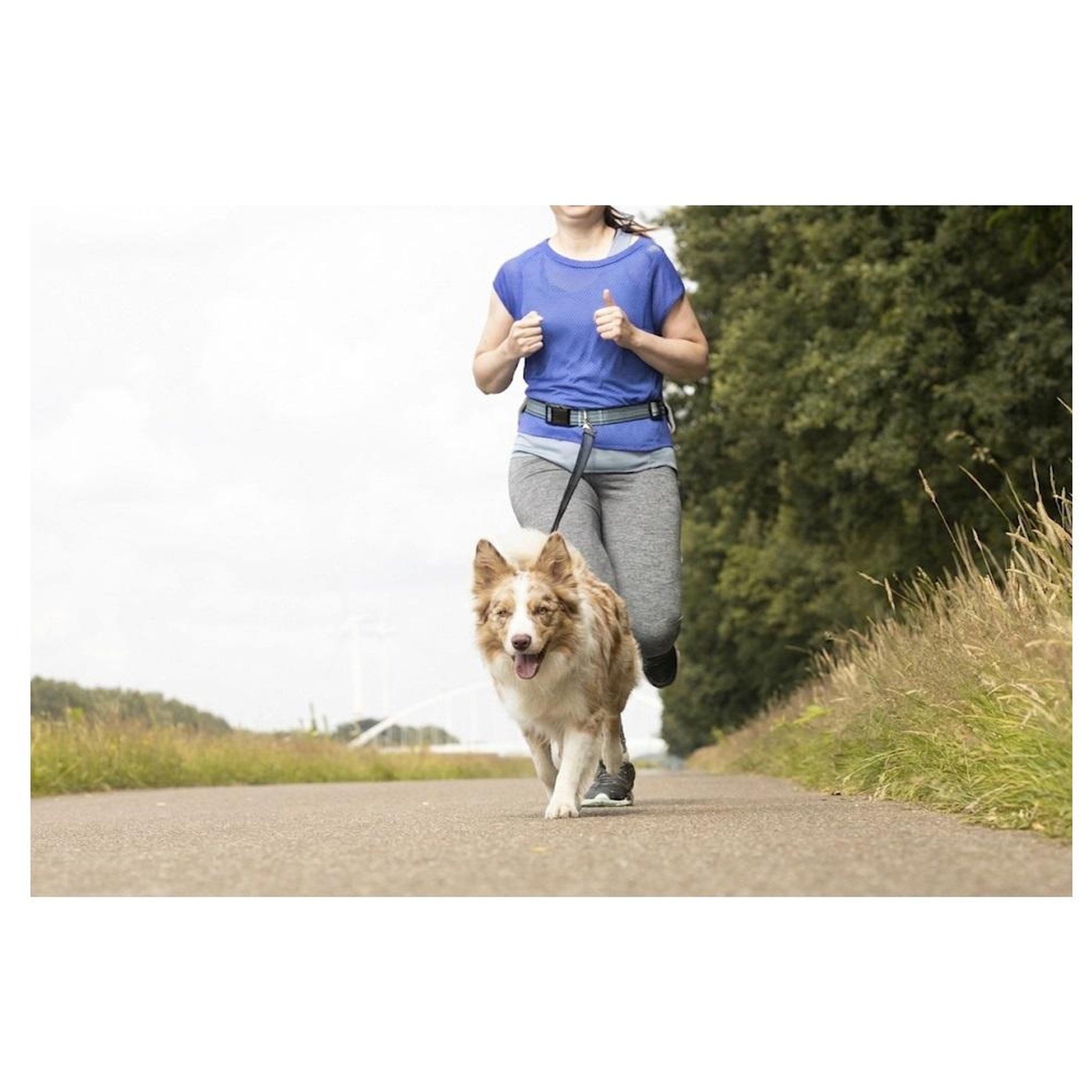 Voir la diapositive 2 : Eden Laisse de jogging pour chien avec ceinture ventrale bleu
