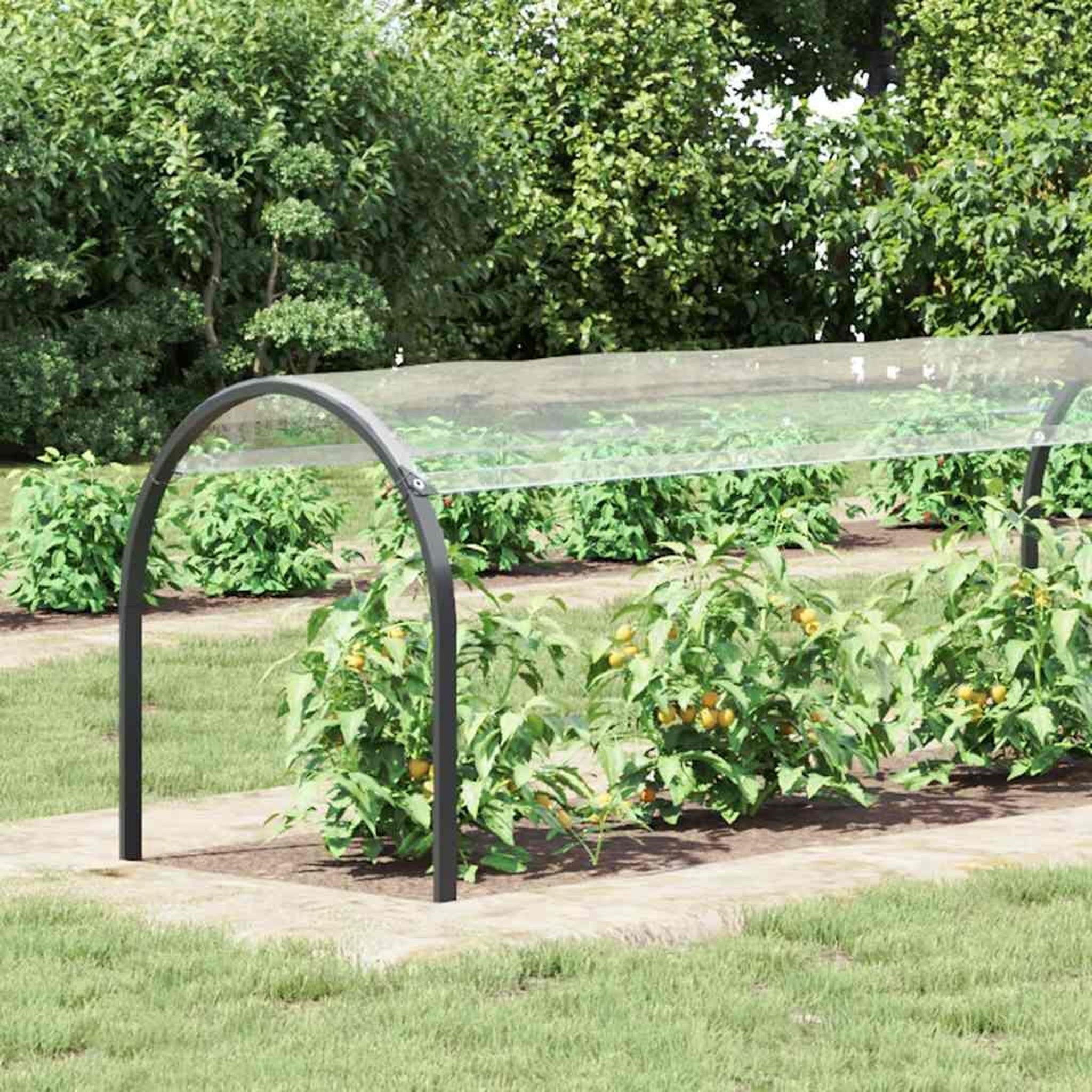 Voir la diapositive 3 : VIDAXL Bache transparente avec œillets 1x8 m PVC