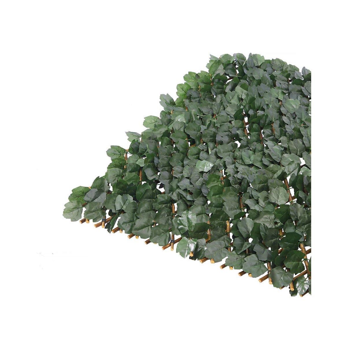 Habitat et Jardin Lot de 6 Clôtures en treillis de saule  Fragon  - 200 x 100 cm - Vert