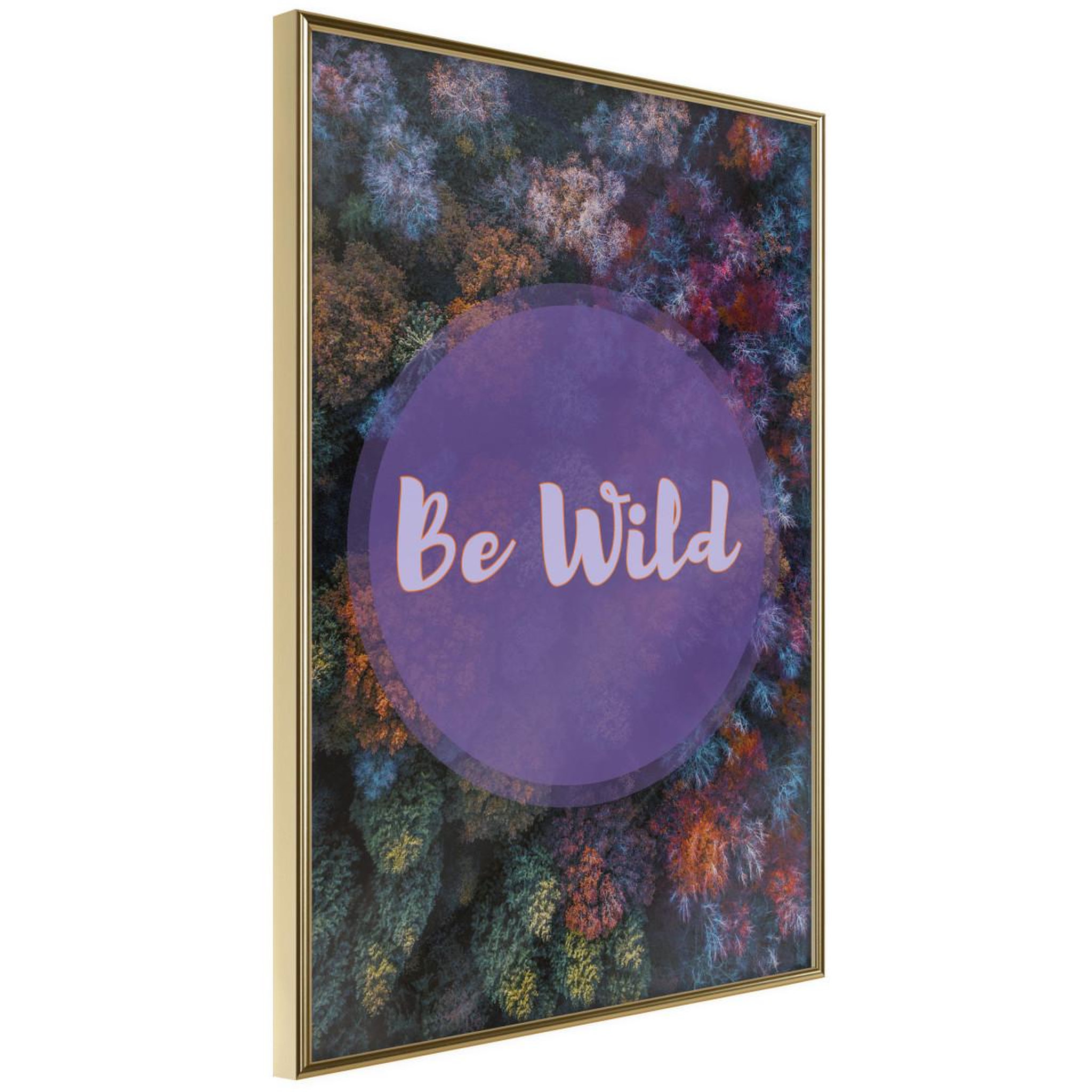 Voir la diapositive 1 : Paris Prix Affiche murale encadrée  find wildness in yourself