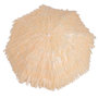 Voir la diapositive 6 : OUTSUNNY Parasol de plage jardin design hawai 160 cm raphia artificiel beige