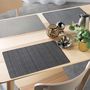 Voir la diapositive 2 : Paris Prix Set de Table  Filigram  28x43cm Gris