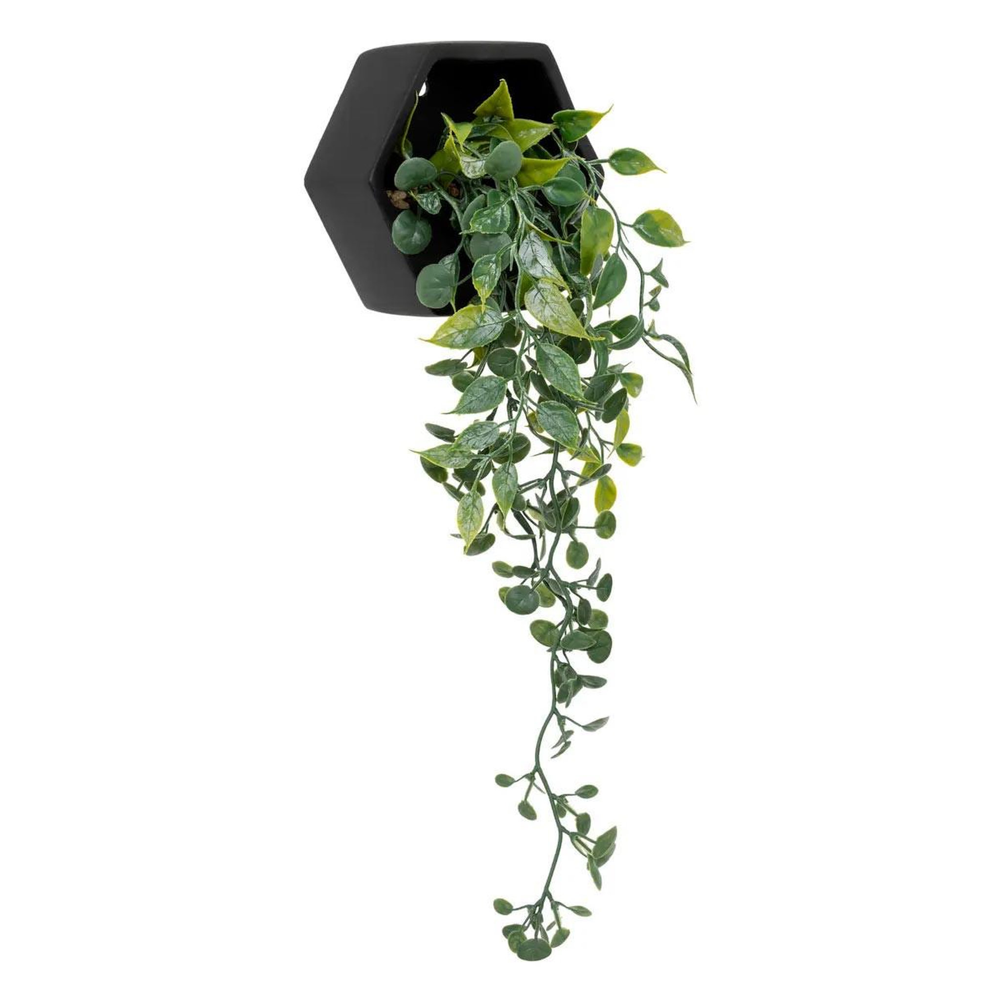 ATMOSPHERA Plante artificielle à suspendre  ayame  45cm noir