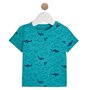 IN EXTENSO T-shirt manches courtes requins coton bio bébé garçon