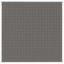 Voir la diapositive 3 : VIDAXL Couverture lestee Gris 200x200 cm 13 kg Tissu