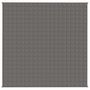 Voir la diapositive 3 : VIDAXL Couverture lestee Gris 200x200 cm 13 kg Tissu