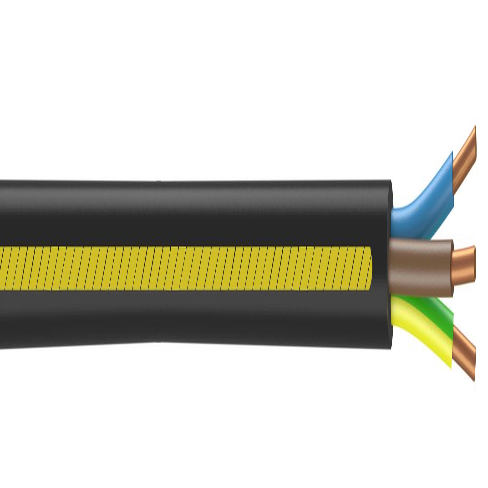 CENTRALE BRICO Câble électrique 3 G 2.5 mm² u1000r2v L.10 m, noir