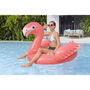 Voir la diapositive 3 : BESTWAY Bouée a chevaucher - Bestway - Flamant rose - 168 x 120 cm