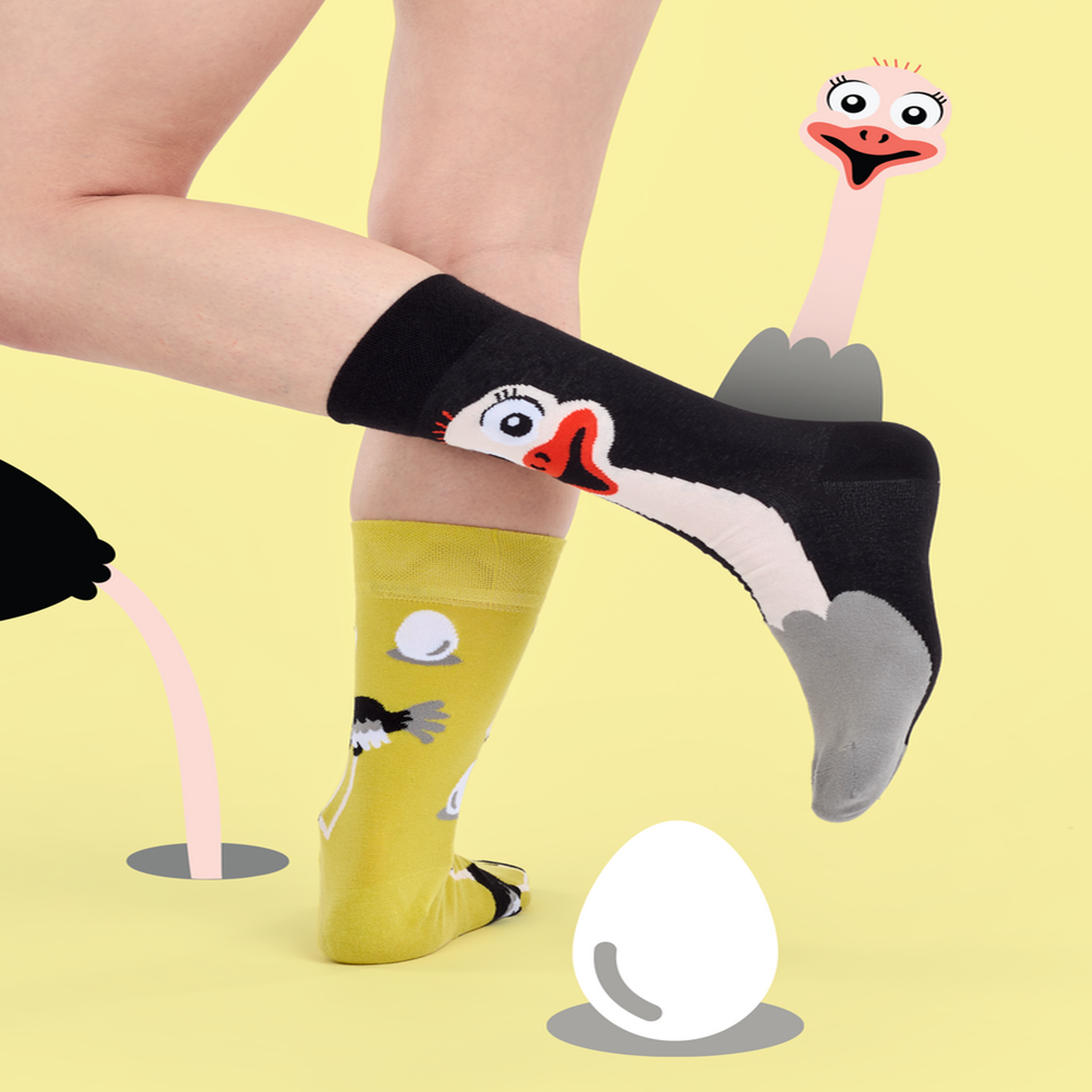 Voir la diapositive 4 : DEDOLES Chaussettes autruche
