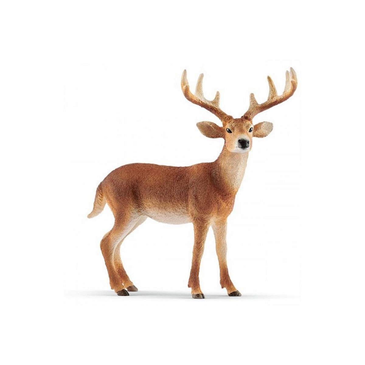 Schleich 14818 Cerf de virginie