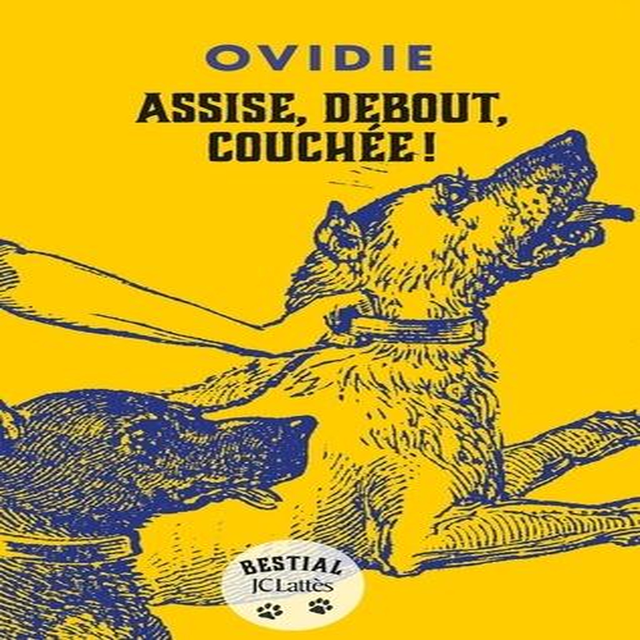 ASSISE, DEBOUT, COUCHEE !, Ovidie